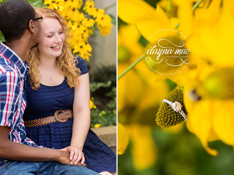 ann_arbor_engagement02