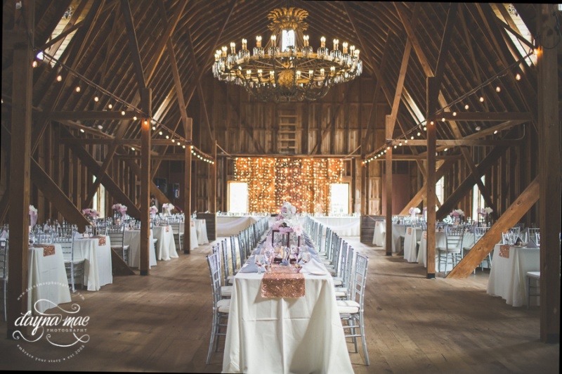 Ann_Arbor_Barn_Wedding-037