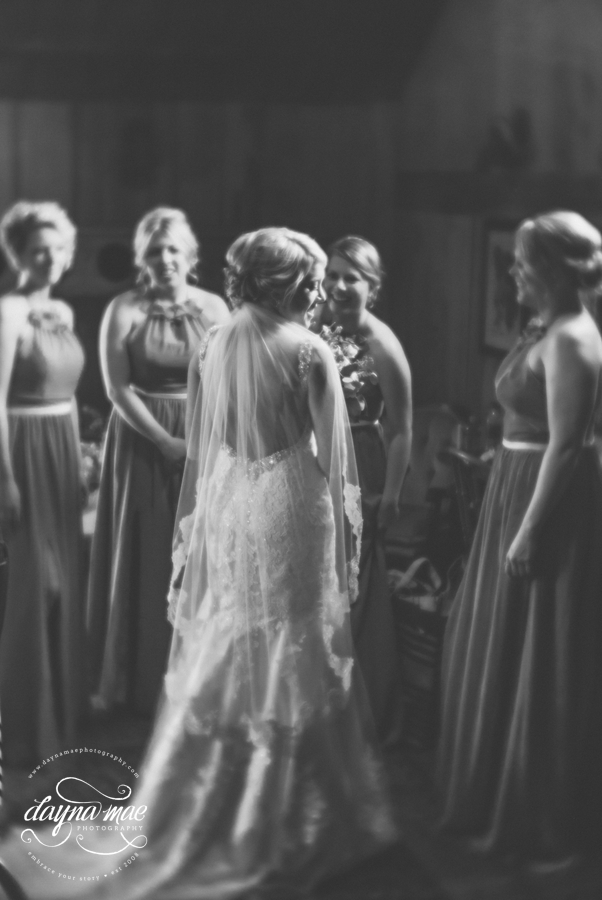 Frutig_Farms_Ann_Arbor_Wedding_0027